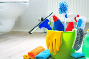 Messie Reinigung Wolfsburg