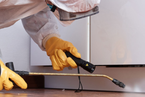 Messie Schädlingsbekämpfung Wolfsburg